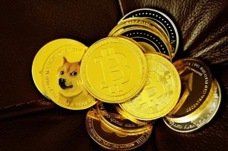 Can Dogs Really Lead the Way to Toncoin? Exploring the Connection!